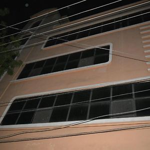 Olive Suites